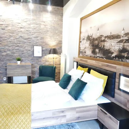 Przy Zamku Kowalska Street Apartamento